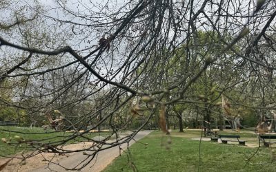 Spring Dancing with the Unknown