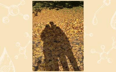 Vitamin C for Changing Seasons